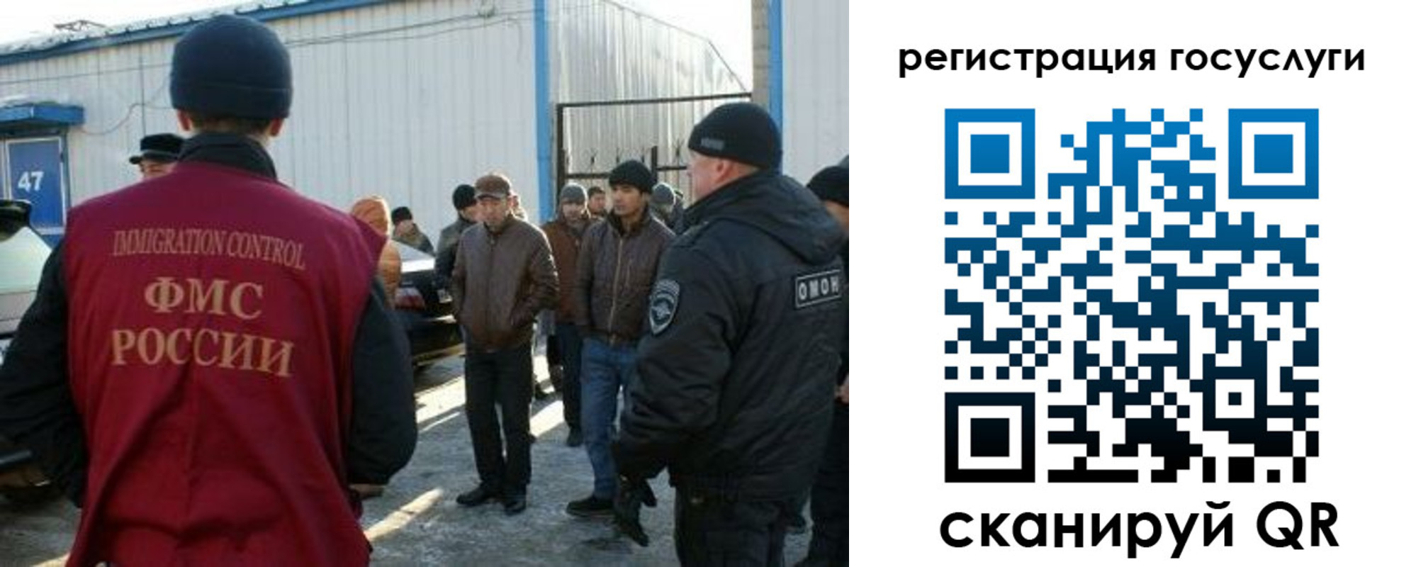 временная регистрация поиск в Коле